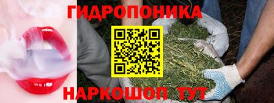 apvp Рыбинск